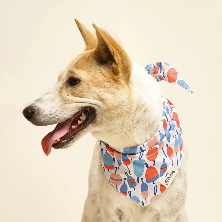 THE PAWS | Buoy Dog Bandana