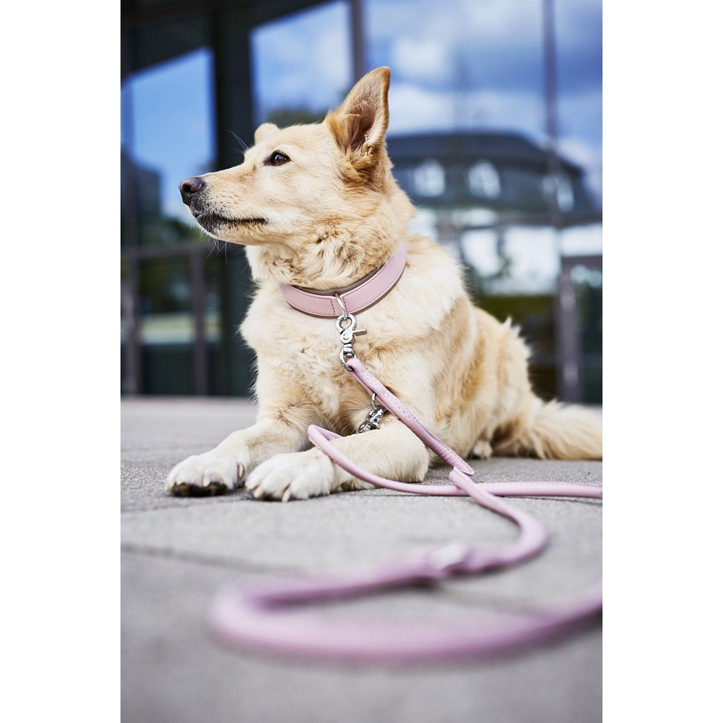 AMICI | Nappa Halsband - Rose