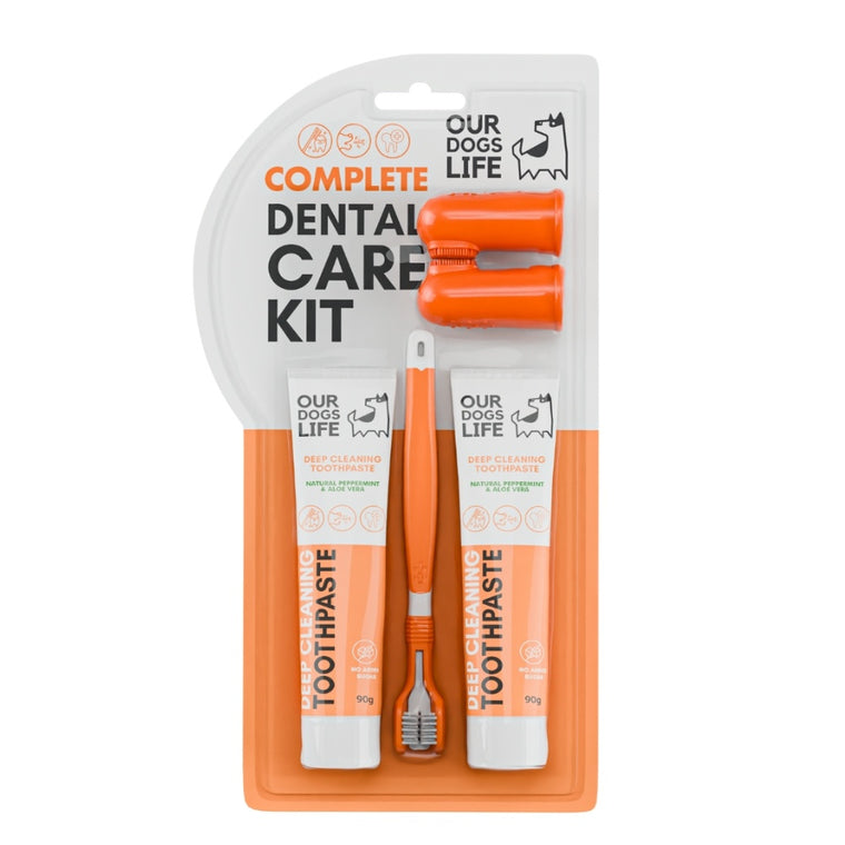 DOGSLIFE | Dental Kit