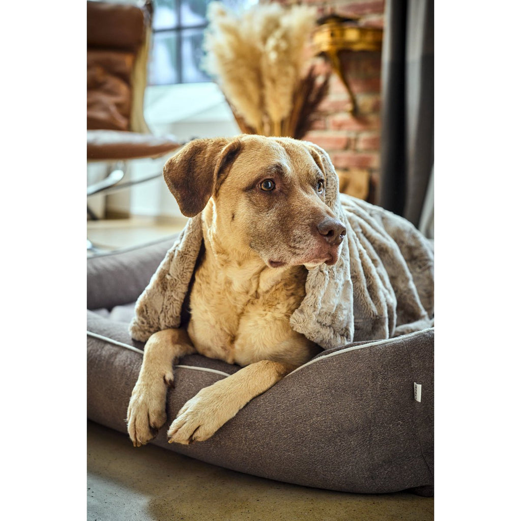 COSY | Deken - Beige