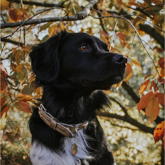 TWISTED | Halsband - Stone