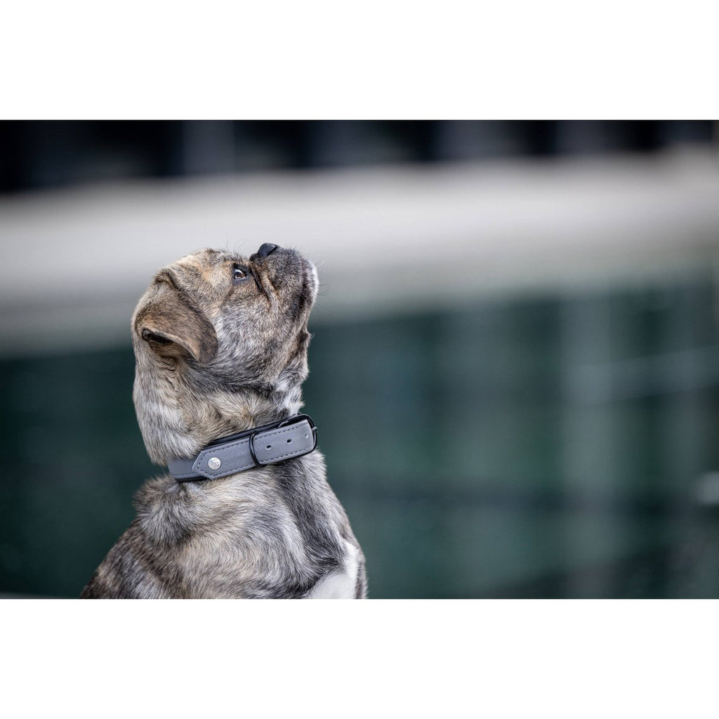 AMICI | Nappa Halsband - Antraciet