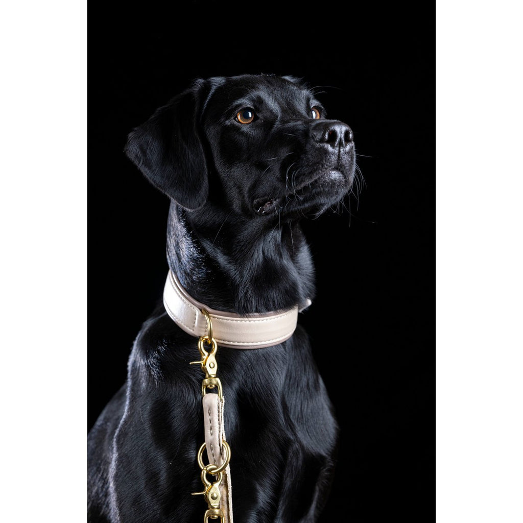 AMICI | Nappa Halsband - Ivory