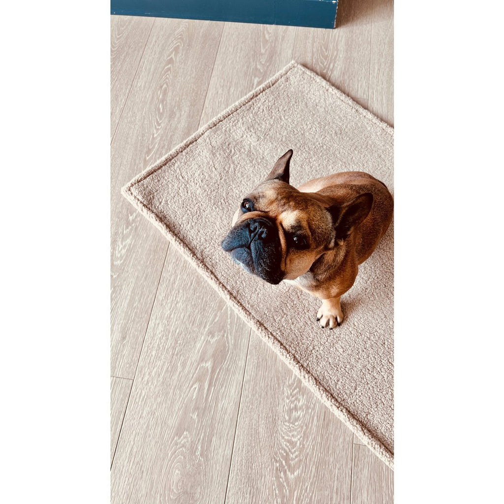 TEDDY | Multifunctioneel Deken - Cream