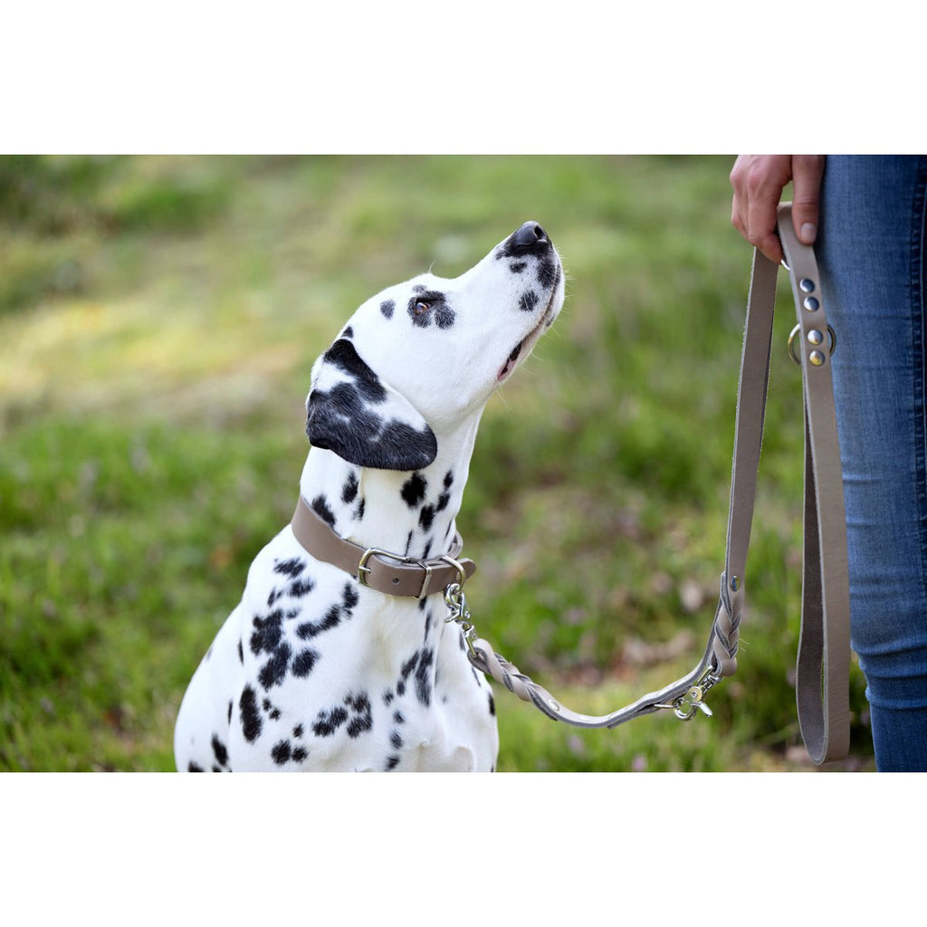 GIRO | Leren Halsband - Grijs