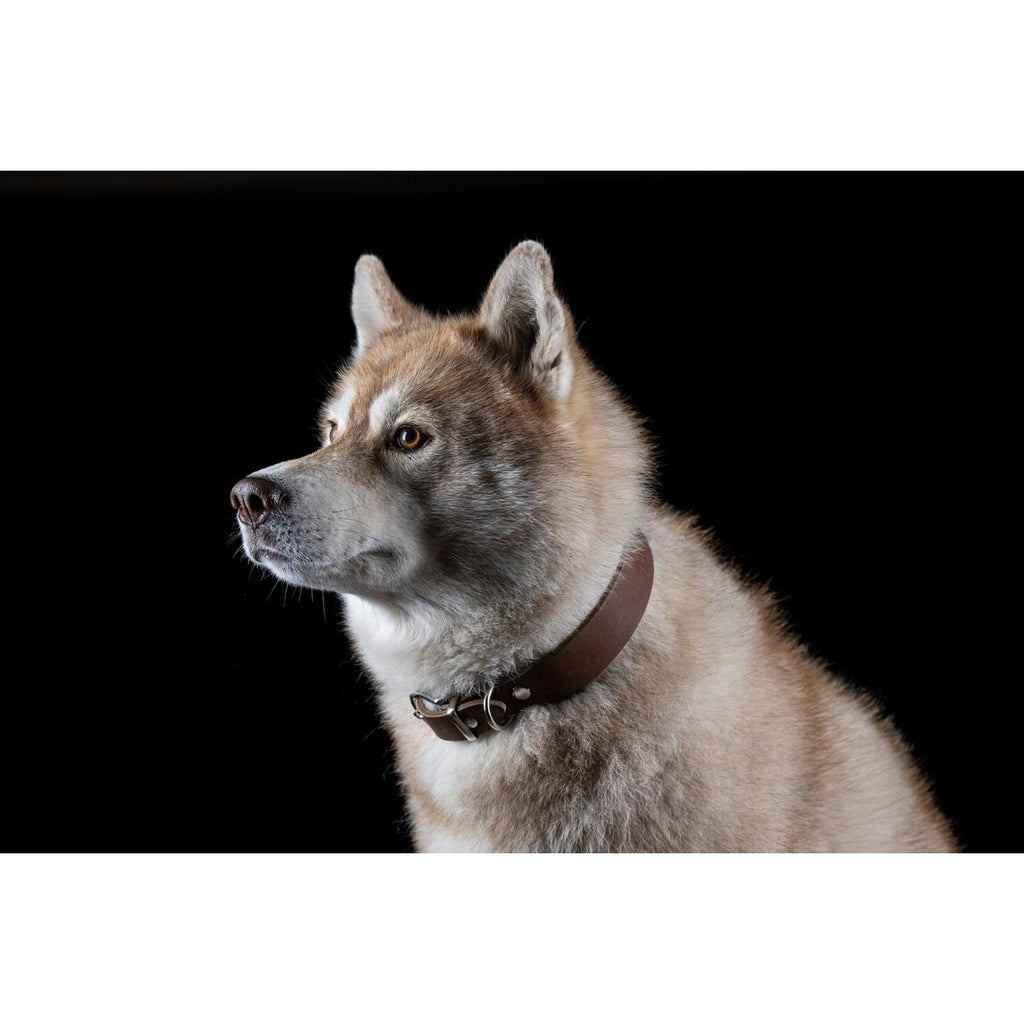 GIRO | Leren Halsband - Mokka
