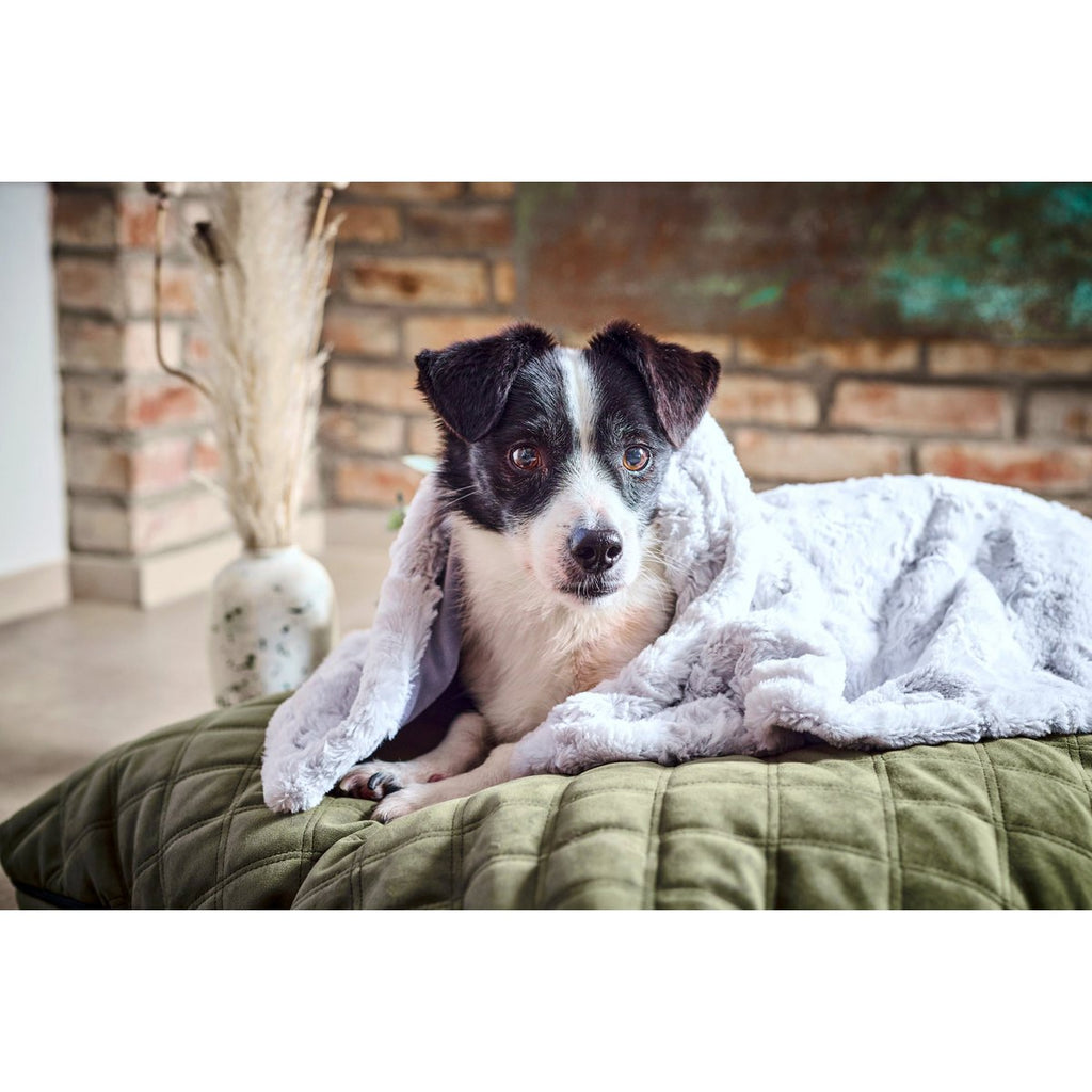 COSY | Deken - Light Grey