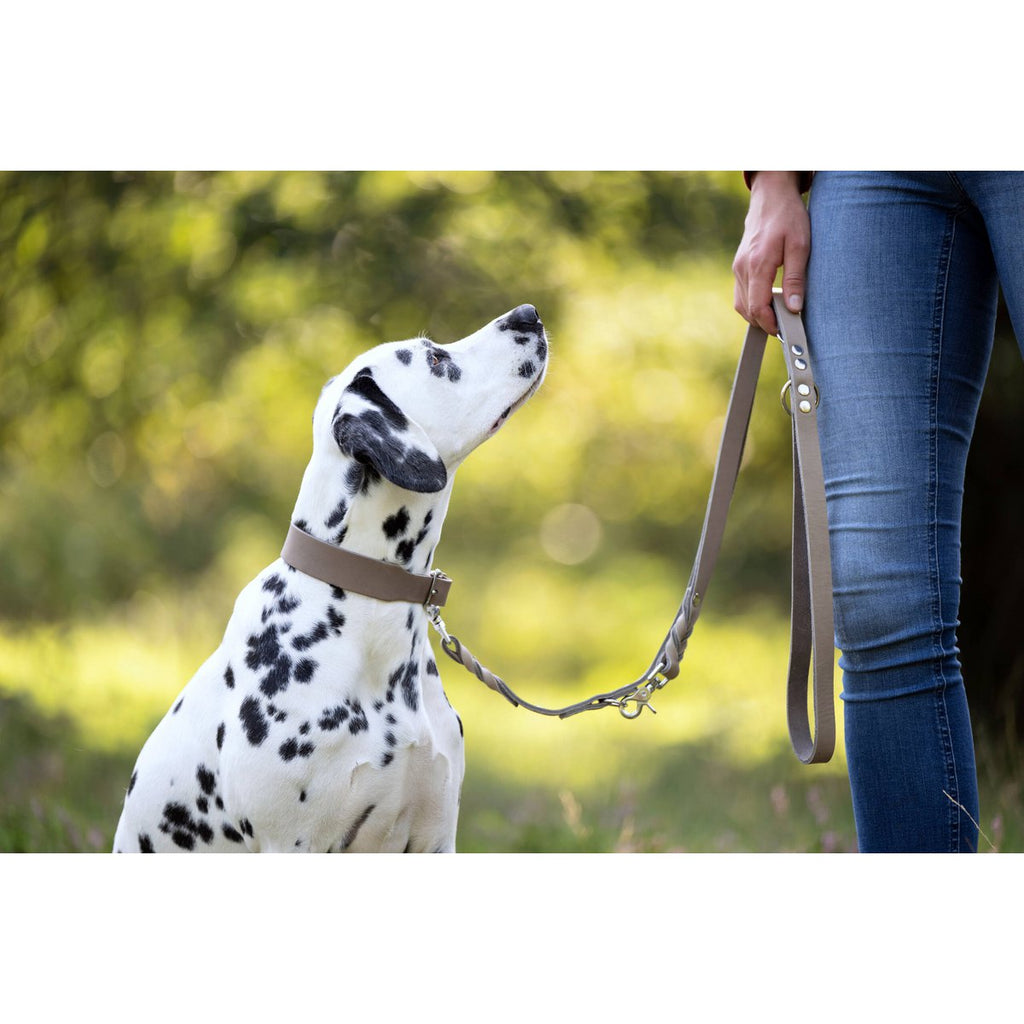 GIRO | Leren Halsband - Grijs