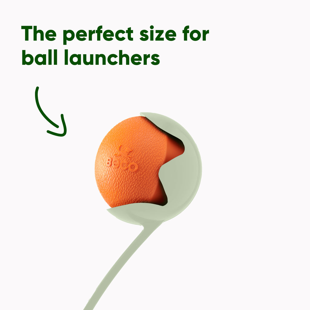 BECO | Fetch Ball - Oranje