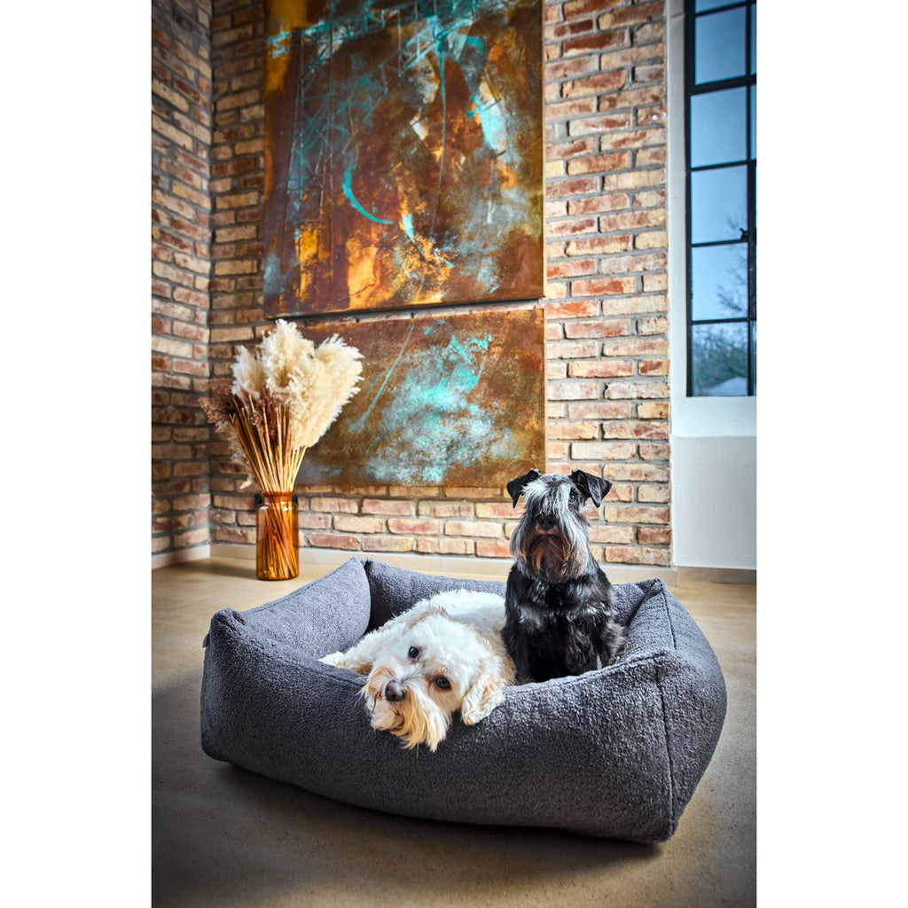 TEDDY | Hondenbed - Grey