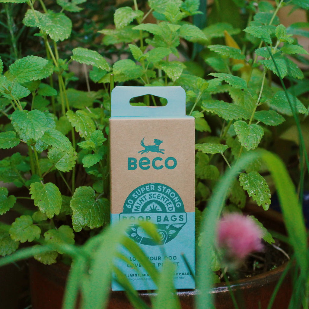 BECO | Poop Bags Recycled - Fresh Mint Scent - Multipack