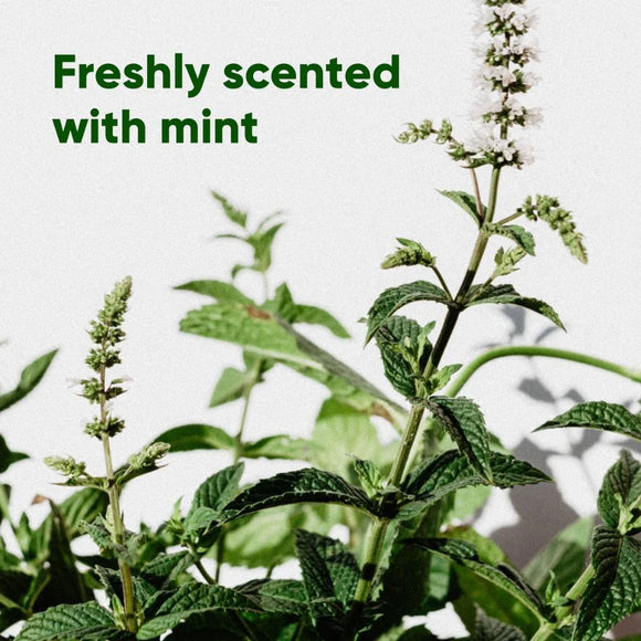 BECO | Poop Bags Recycled - Fresh Mint Scent - Multipack