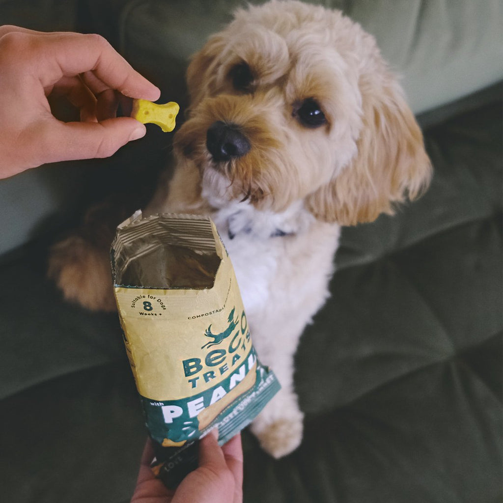 BECO | Treats - Peanut with Coconut & Turmeric