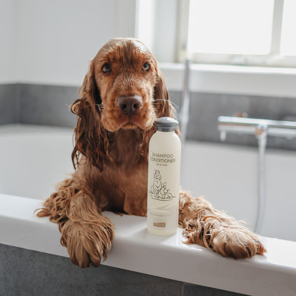 GREENFIELDS | Shampoo & Conditioner