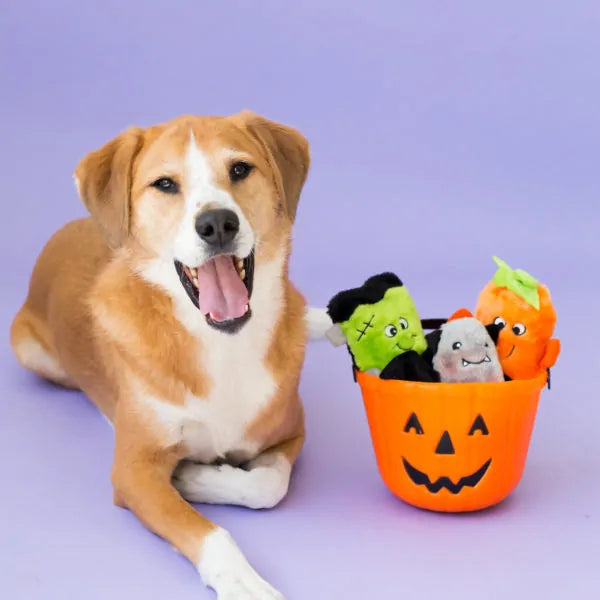 ZIPPYPAWS | Halloween Squeakie Buddies