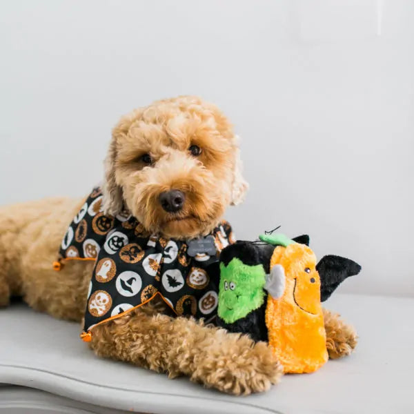 ZIPPYPAWS | Halloween Squeakie Buddies