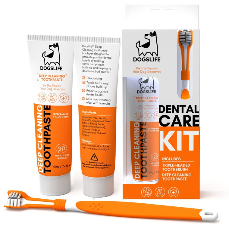 DOGSLIFE | Dental Kit
