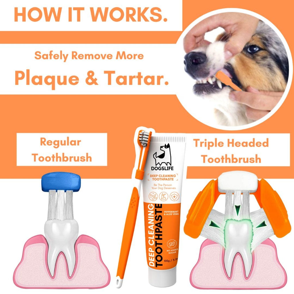 DOGSLIFE | Dental Kit