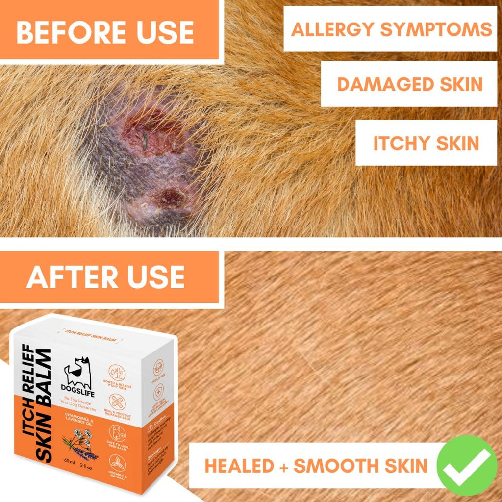 DOGSLIFE | Itch Relief Skin Balm