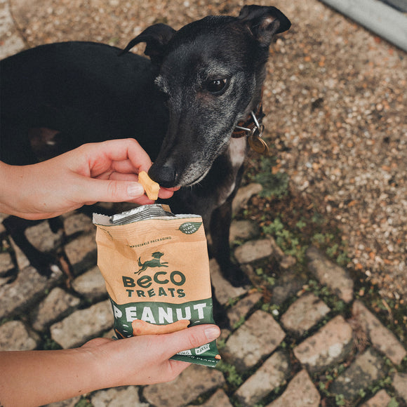 BECO TREATS | Peanut with Coconut & Turmeric