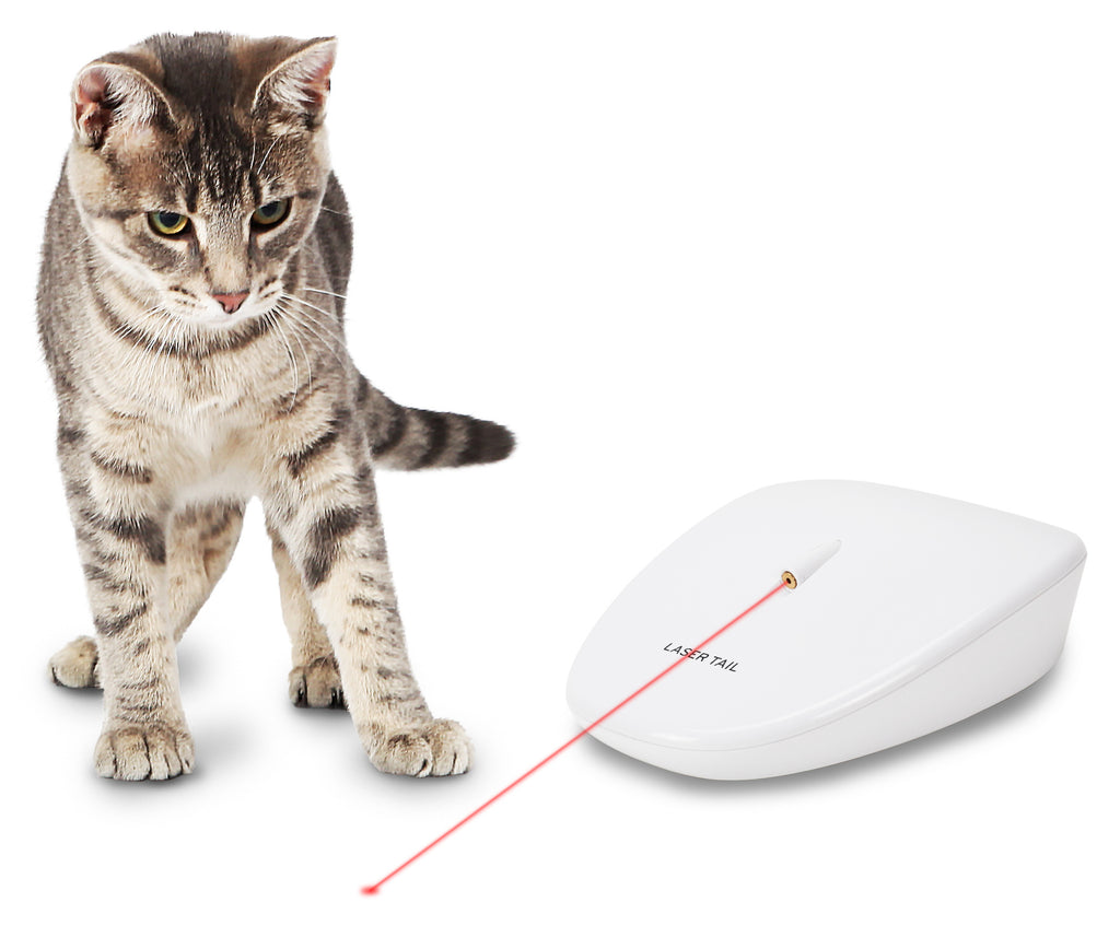 PETSAFE | Laser Tail Light