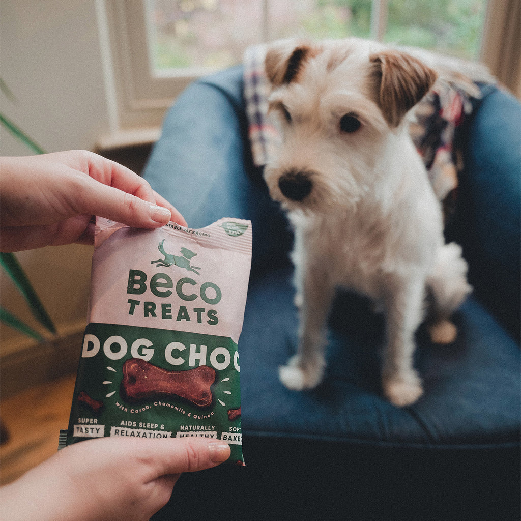 BECO TREATS | Dog Choc with Camomile & Quinoa