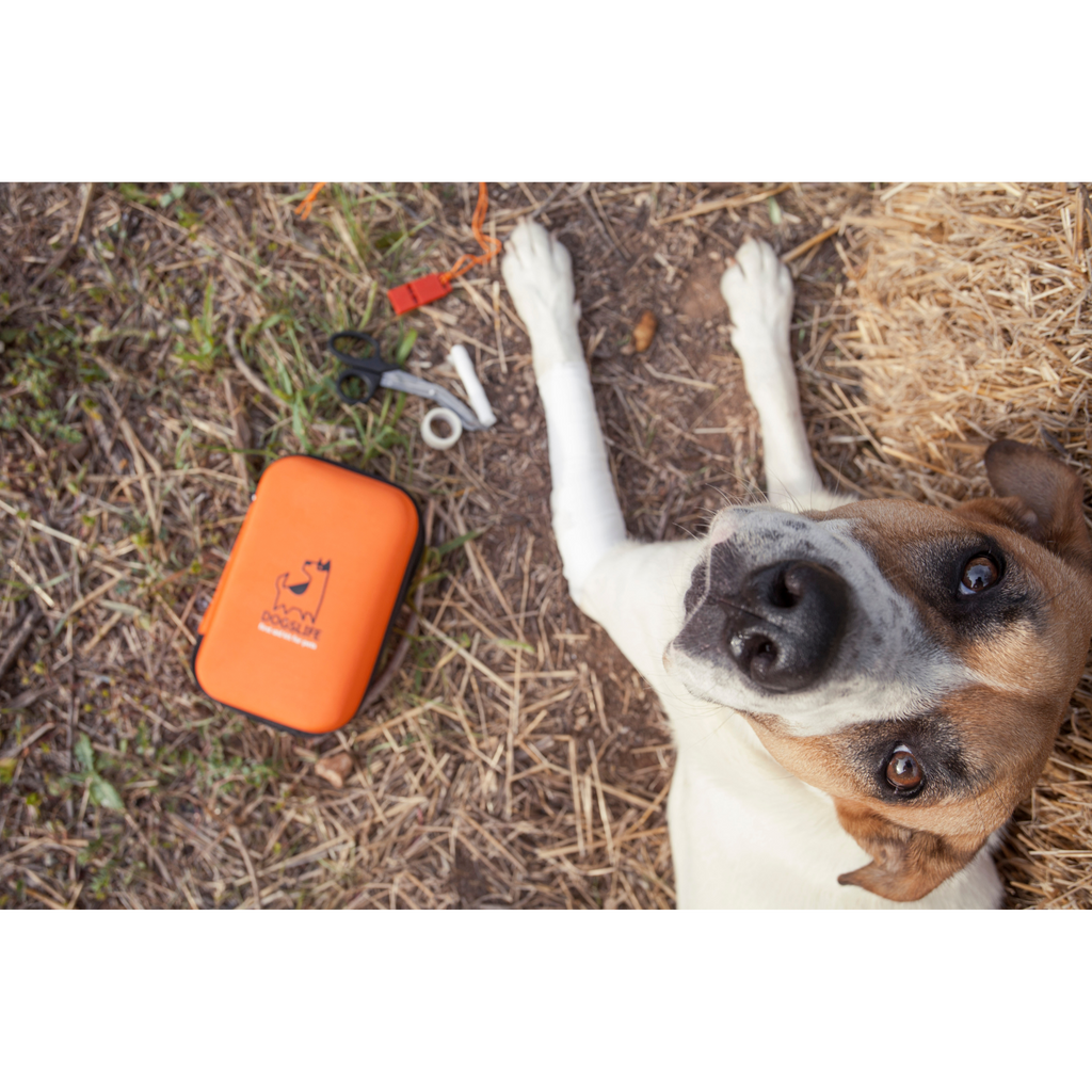 DOGSLIFE | First Aid Kit