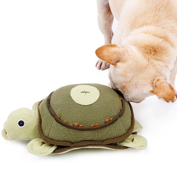 INJOYA | Turtle Snuffelspel