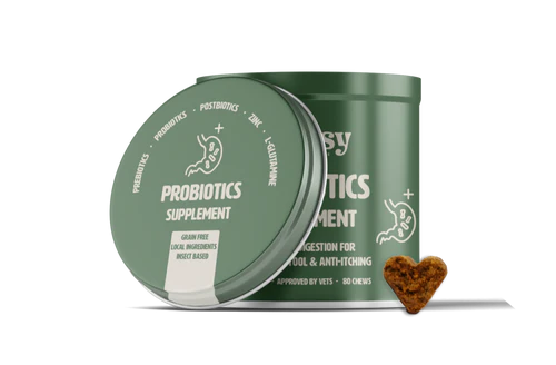 GUTSY | Probiotics Supplement