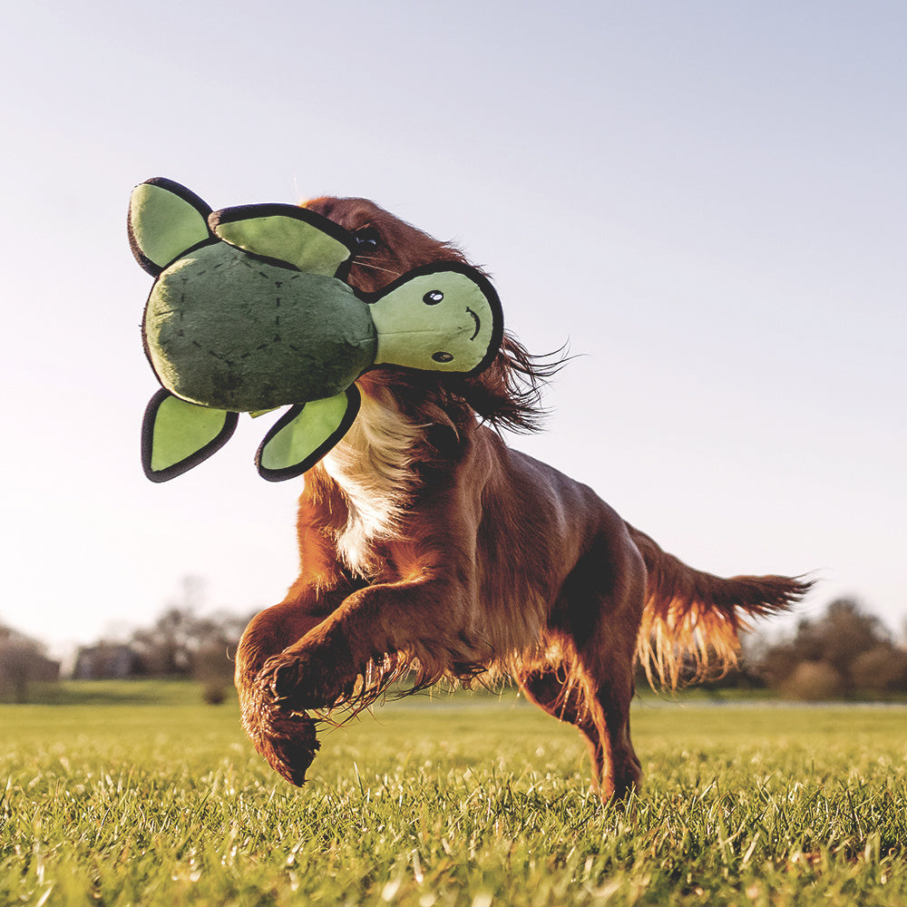 BECO PLUSH | Tommy the Turtle