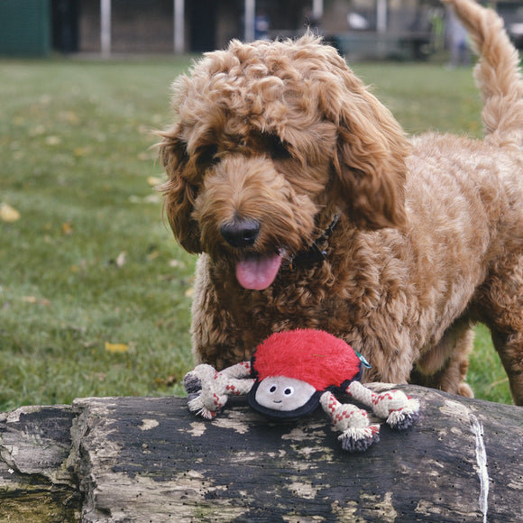 BECO PLUSH | Steve the Spider