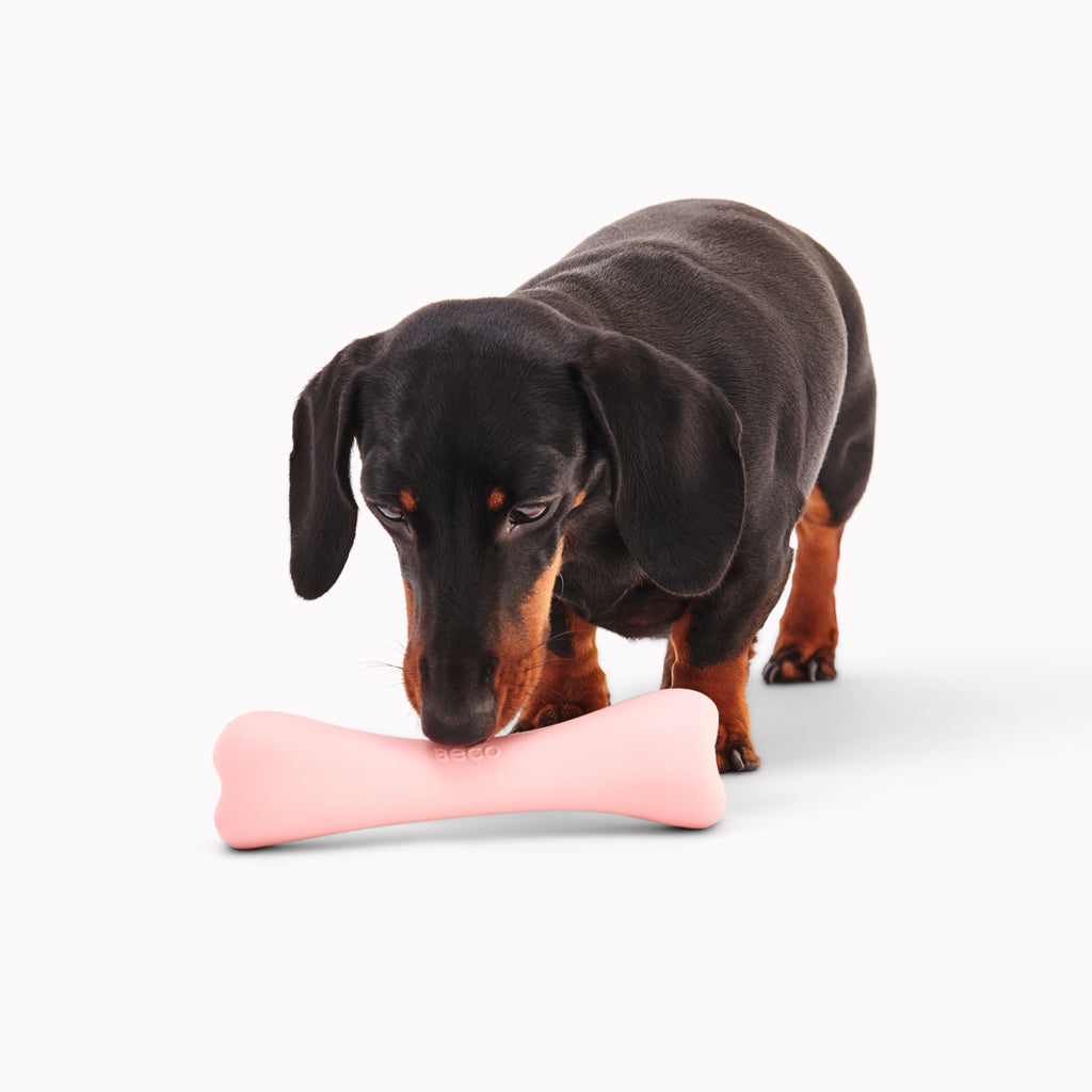 BECO | Treat Bone - Groen