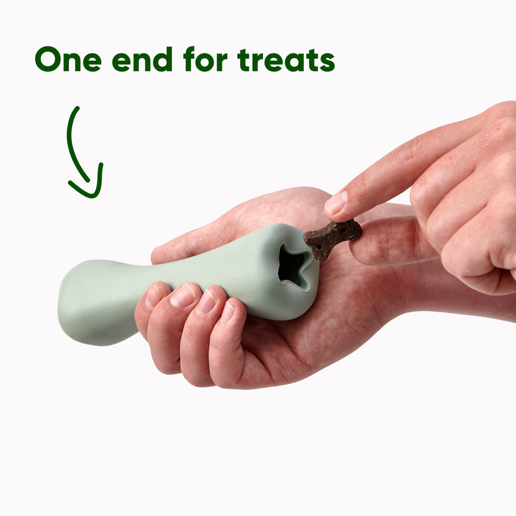 BECO | Treat Bone - Groen
