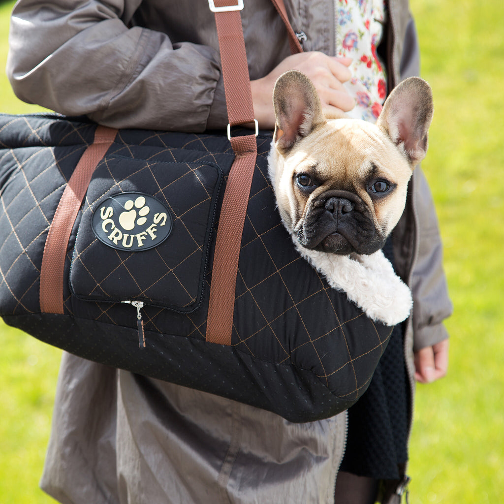 SCRUFFS | Wilton Carrier - Bruin