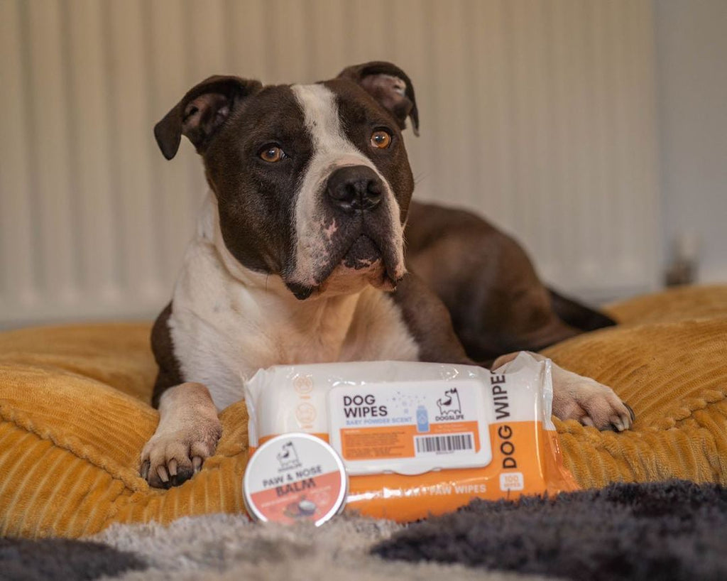 DOGSLIFE | Grooming Wipes