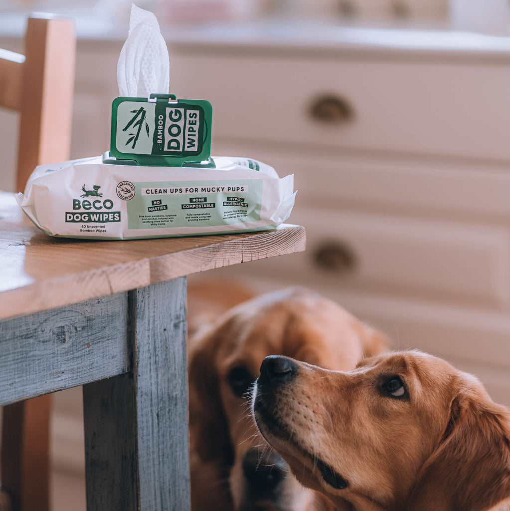 BECO | Bamboo Dog Wipes - Unscented - 80 Pack