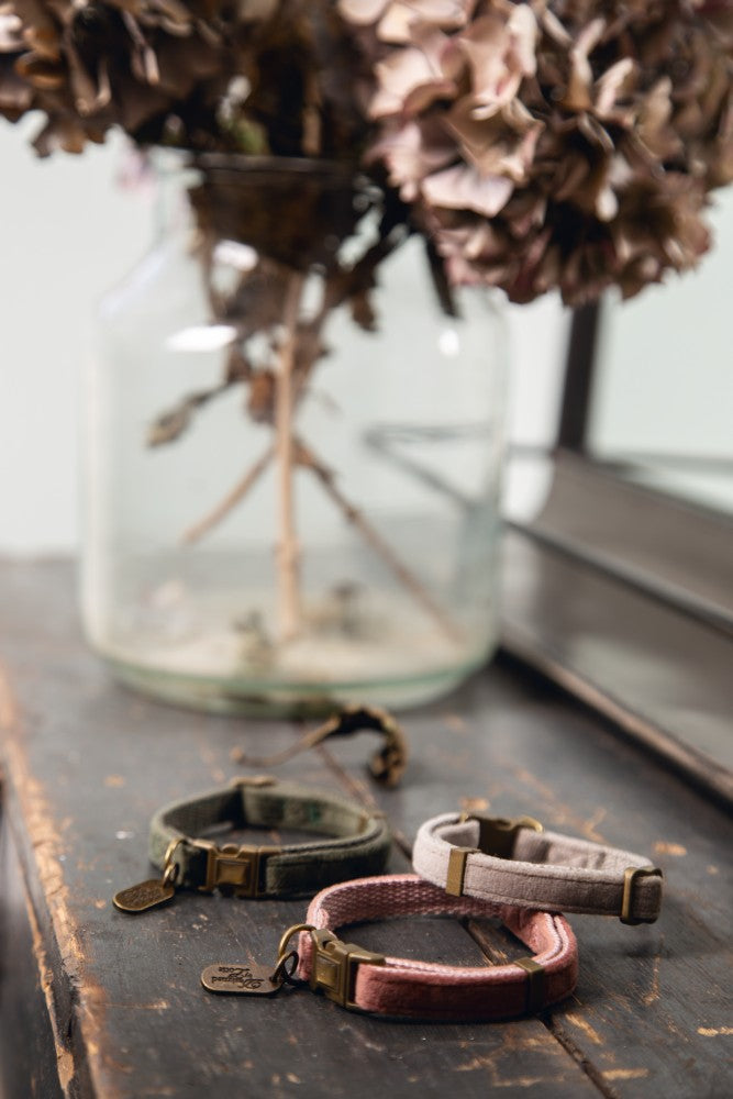 VELURA | Kattenhalsband - Groen