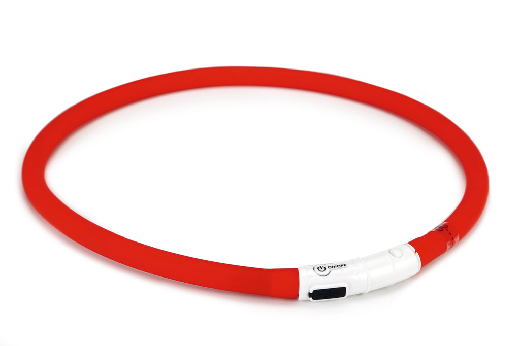 DOGINI | Lichtgevende Halsband