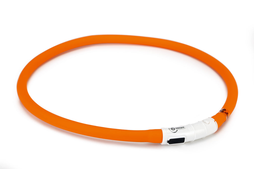 DOGINI | Lichtgevende Halsband
