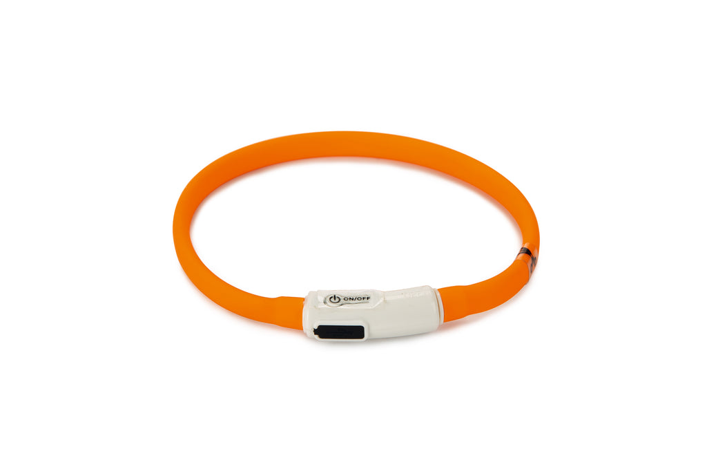 DOGINI | Lichtgevende Halsband