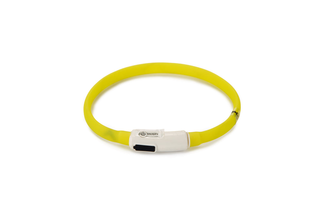 DOGINI | Lichtgevende Halsband