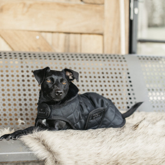 KENTUCKY DOGWEAR | Original Dog Coat - Zwart