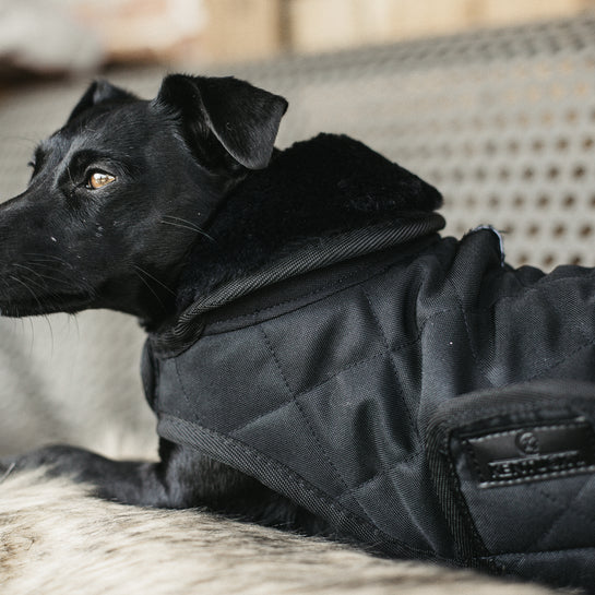 KENTUCKY DOGWEAR | Original Dog Coat - Zwart