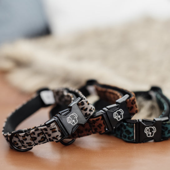 KENTUCKY DOGWEAR | Leopard Halsband - Grijs