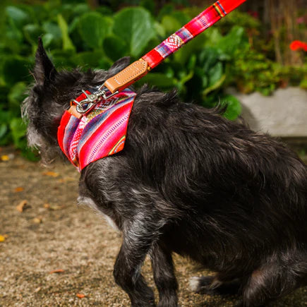 HIRO + WOLF | Inca Orange Dog Bandana