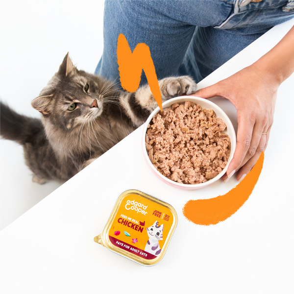 EDGARD & COOPER | Adult Cat - Vrije Uitloop Kip - Paté