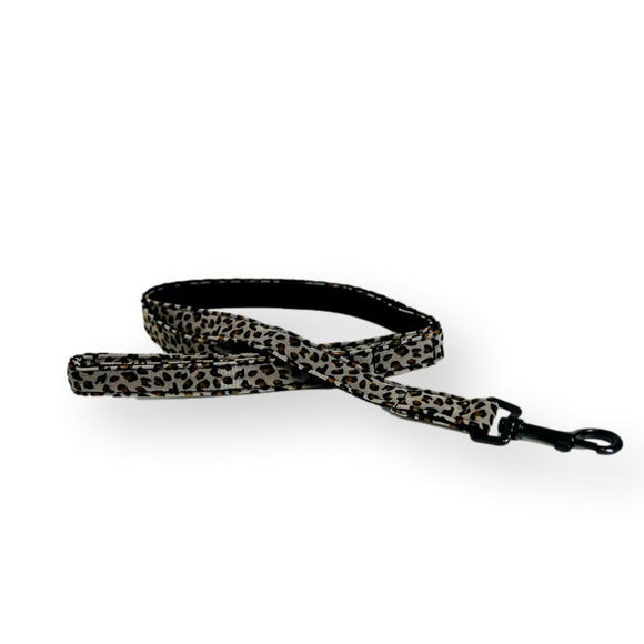 KENTUCKY DOGWEAR | Leopard Leiband - Grijs