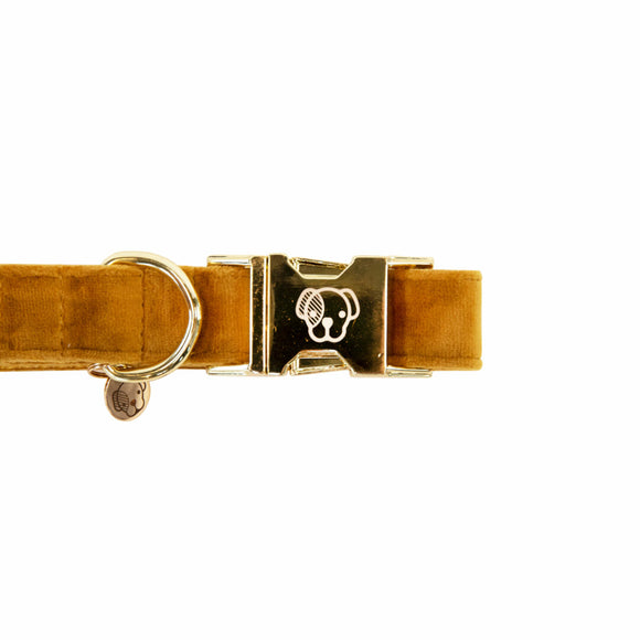 KENTUCKY DOGWEAR | Velvet Halsband - Mosterd