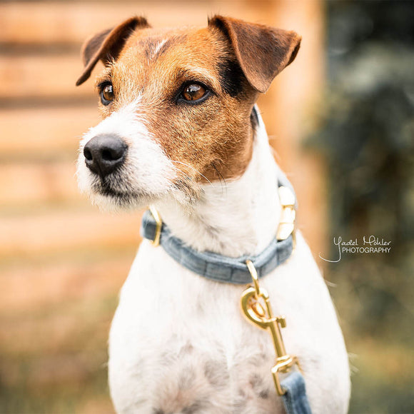 KENTUCKY DOGWEAR | Velvet Halsband - Lichtblauw