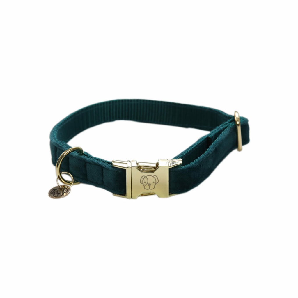KENTUCKY DOGWEAR | Velvet Halsband - Emerald
